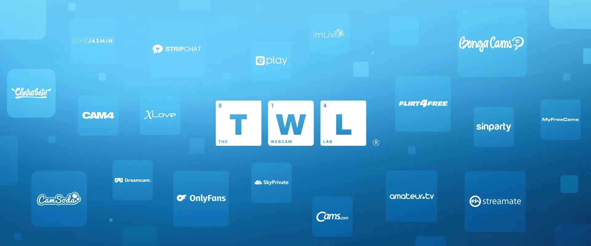 The Webcam Lab - Slide 1